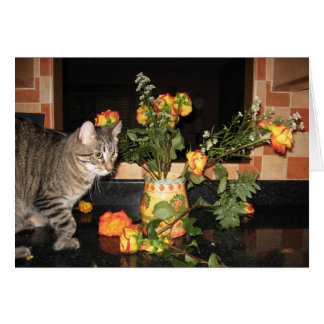 Slim Kitty & les Roses