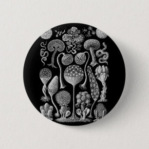 Slime Molds in Black and White 2 Inch Round Button