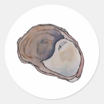 Slipper shell watercolor