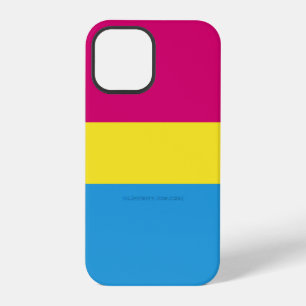 SlipperyJoe pansexual pride flag pink amber and cy iPhone 12 Pro Case