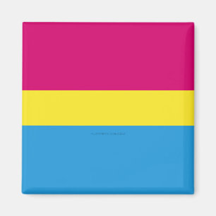 SlipperyJoe pansexual pride flag pink amber and cy Magnet