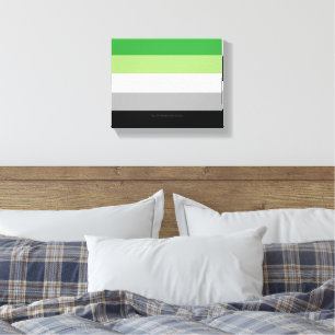 SlipperyJoe's Aromantic Pride Flag gay gifts LGBTQ Canvas Print