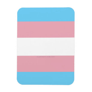 SlipperyJoe's artistic Transgender Pride flag gift Magnet