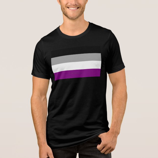 SlipperyJoe's asexual pride flag emphasizing inclu Tri-Blend Shirt (Front)