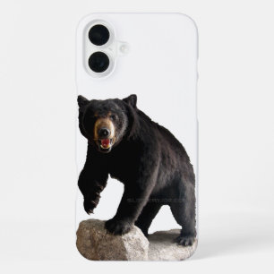 SlipperyJoe's black bear thick dark fur majestic r iPhone 16 Plus Case