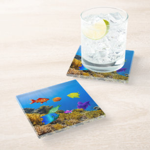 SlipperyJoe's Fish Pride tropical green blue purpl Glass Coaster