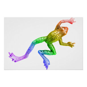 SlipperyJoe's rainbow coloured frog rendered sculp Poster