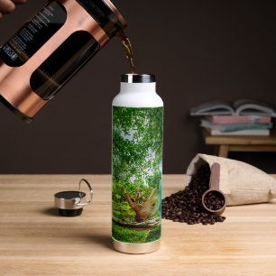SlipperyJoe's rhinoceros lush tropical setting pri Water Bottle