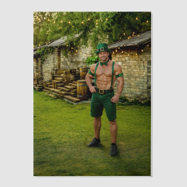SlipperyJoe's Saint Patrick's Day festive leprecha Vellum Invitations (Front)