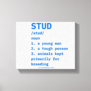 SlipperyJoe's stud definition animals dictionary b Canvas Print