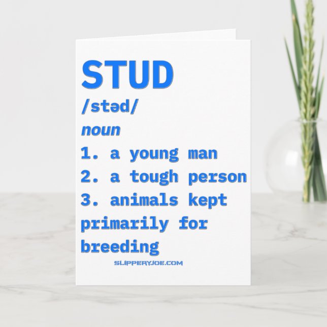 Slipperyjoes Stud Definition Animals Dictionary B  Card (Front)