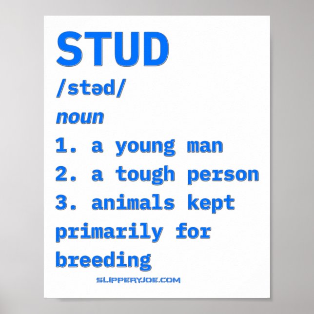 Slipperyjoes Stud Definition Animals Dictionary B  Poster (Front)