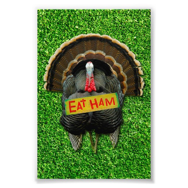 SlipperyJoe's Thanksgiving turkey grass eat ham co Photo Print (Front)
