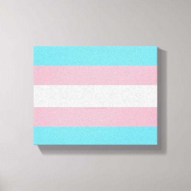 SlipperyJoe's transgender pride flag diversity rig Canvas Print (Front)