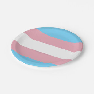 SlipperyJoe's transgender pride flag diversity rig Paper Plate