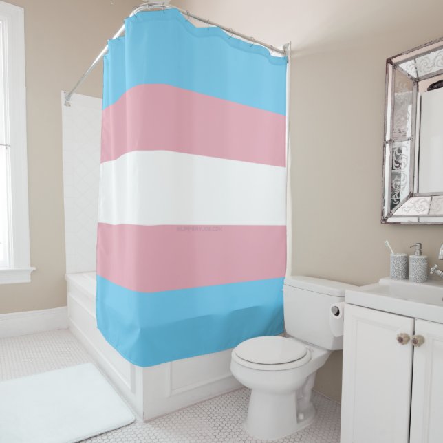 SlipperyJoe's transgender pride flag visibility di (In Situ)