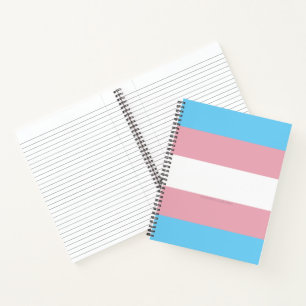 SlipperyJoe's transgender pride flag visibility di Notebook