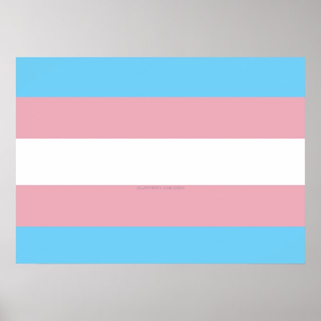 SlipperyJoe's transgender pride flag visibility di Poster (Front)