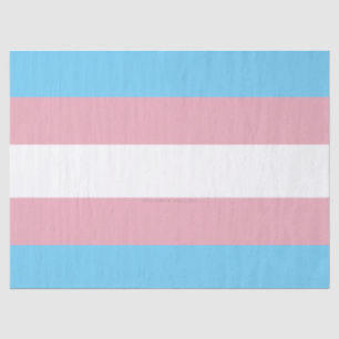 SlipperyJoe's transgender pride flag visibility di Tissue Paper