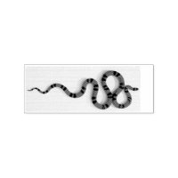 Slithering coral snake Thunder _Cove