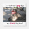 Sloppy Dog Kiss Magnet