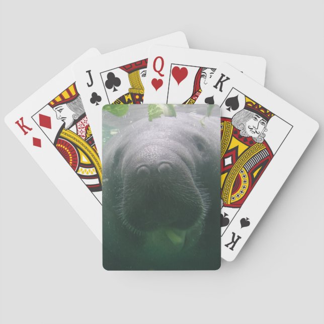 Sloppy Manatee Bicycle Playing Cards (Back)