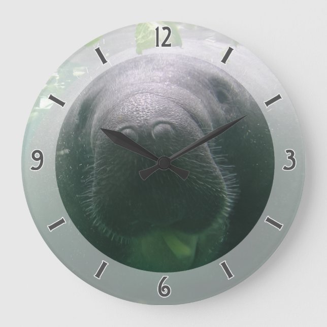 Sloppy Manatee Clock large round (Front)