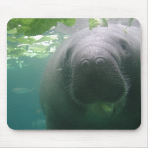 Sloppy Manatee mousepad