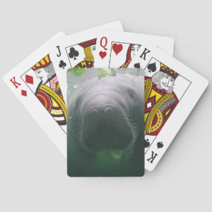 Sloppy Manatee Playing Cards