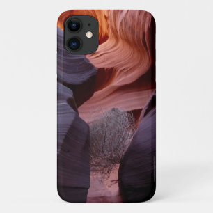 Slot Canyon Tumbleweed Southwest Abstract  iPhone 11 Case