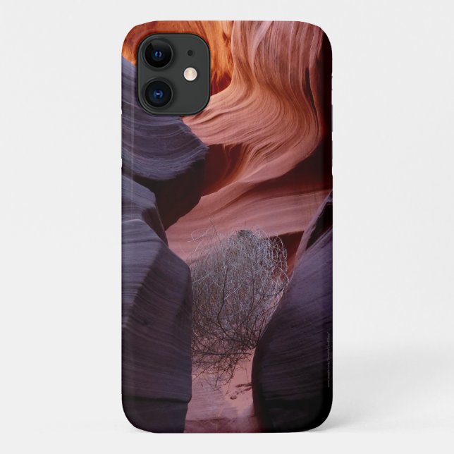 Slot Canyon Tumbleweed Southwest Abstract  Case-Mate iPhone Case (Back)