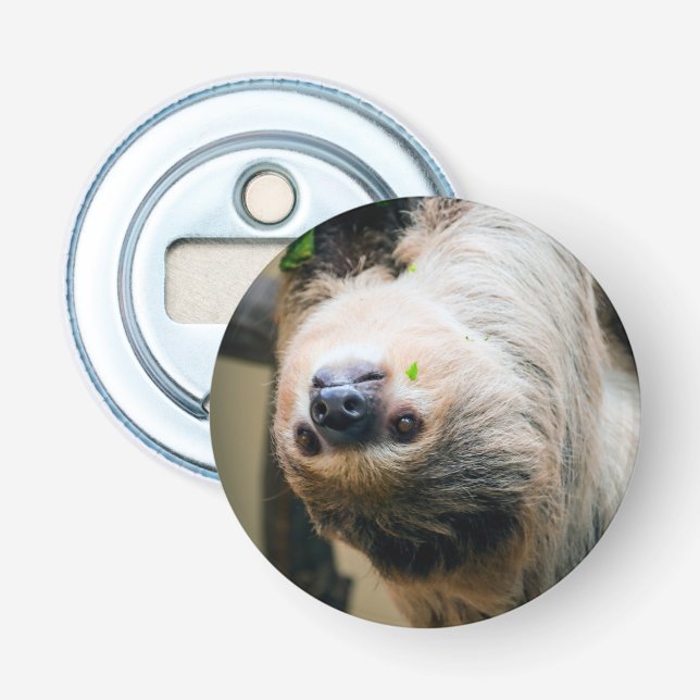Sloth 001 bottle opener (Front)