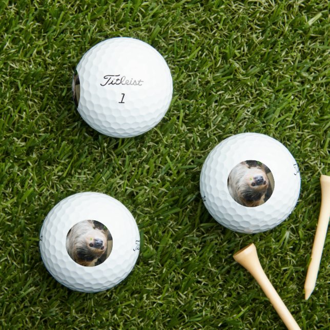 Sloth 005 golf balls (Insitu Grass)