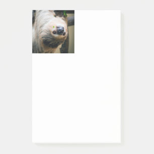 Sloth 005 post-it notes
