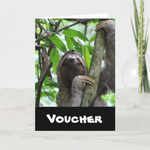 Sloth_20171101_by_JAMFoto Card