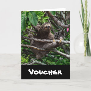 Sloth_20171106_by_JAMFoto Card