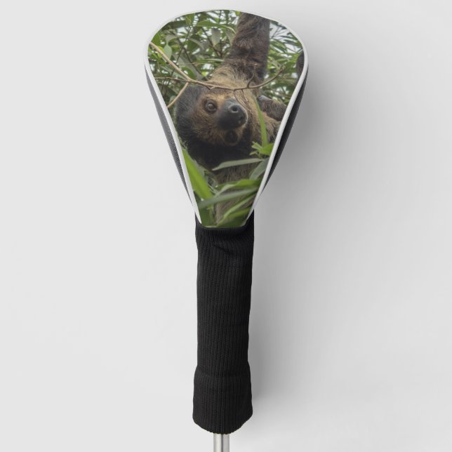 Sloth_2019001 Golf Head Cover (Front)