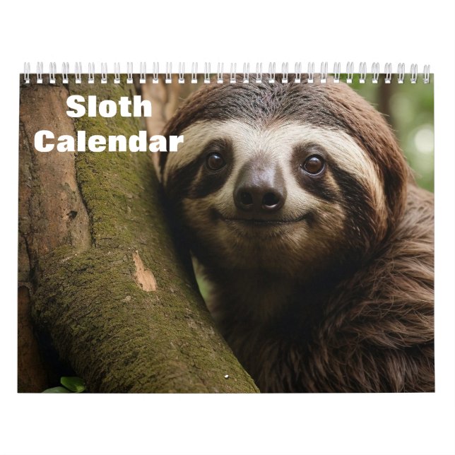 Sloth 2026 calendar (Cover)
