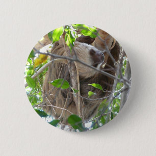 sloth 2 inch round button