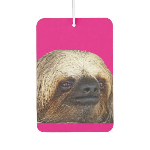 Sloth Air Freshener