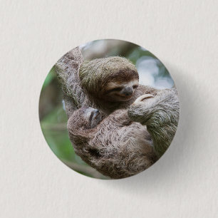Sloth Baby with Mother Hanging from a Tree 1 Inch Round Button