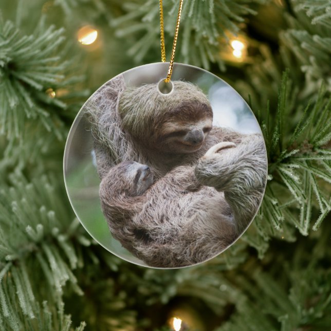 Sloth Baby with Mother Hanging from a Tree Ceramic Ornament (Tree)