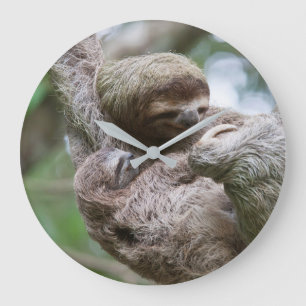 Sloth Baby with Mother Hanging from a Tree Large Clock