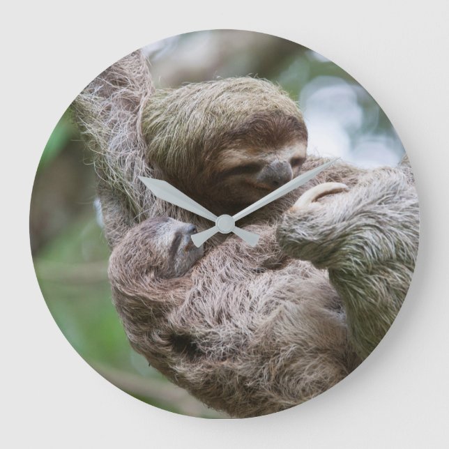 Sloth Baby with Mother Hanging from a Tree Large Clock (Front)