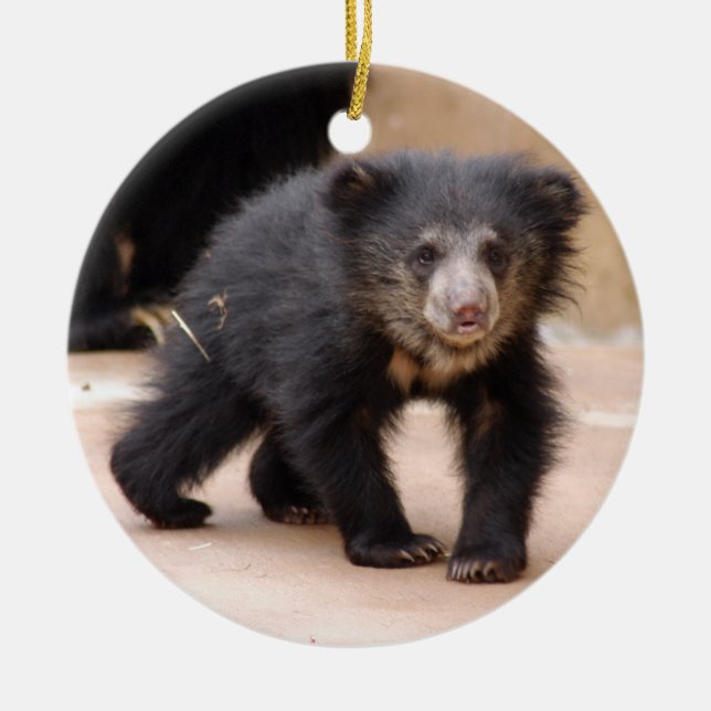 Sloth Bear Cub Christmas Ornament (Front)