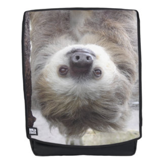 Sloth Boldface Backpack