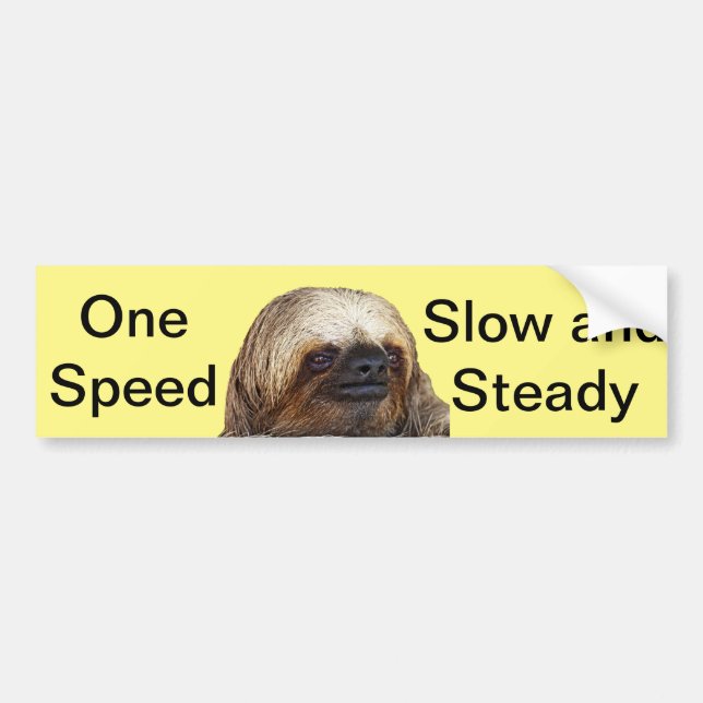 Sloth Bumper Sticker (Front)