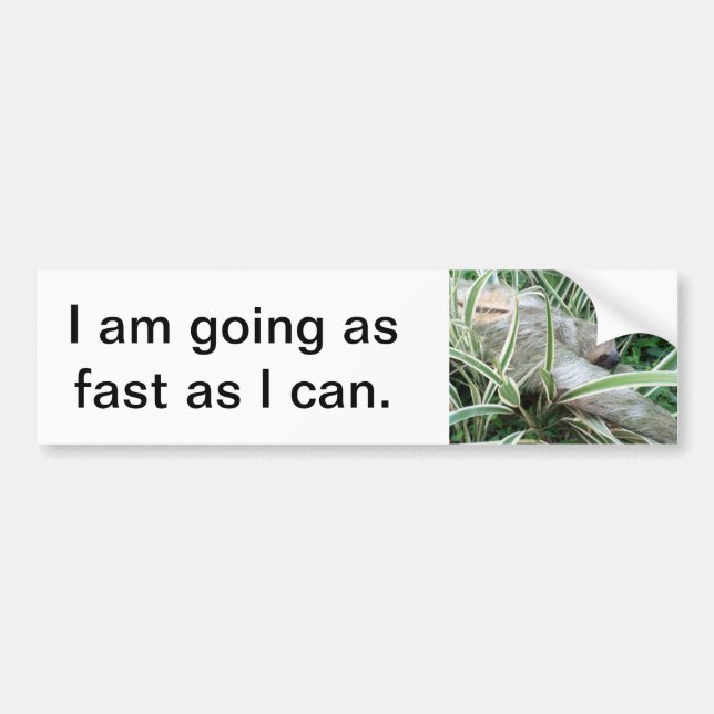 sloth bumper sticker (Front)