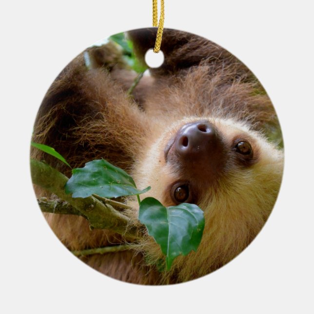 Sloth & Capybara Ceramic Ornament (Front)