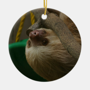 Sloth Ceramic Ornament
